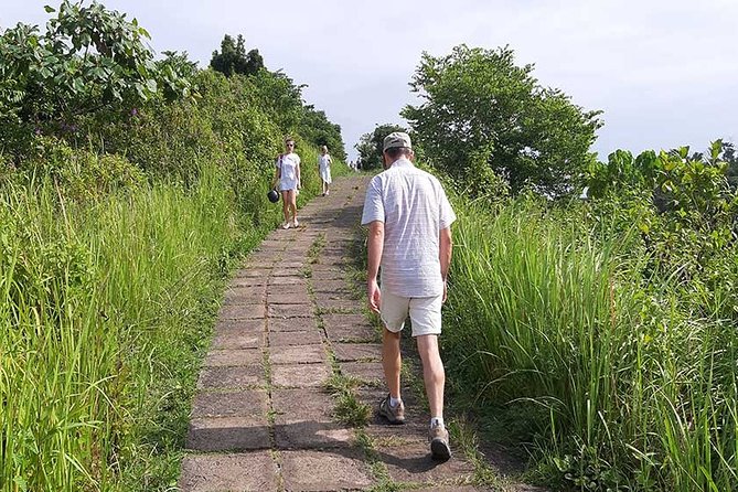 Private Tour: Campuhan Ridge Walk, Ubud Rice Terrace & Ubud Palace - What the private format adds for $25