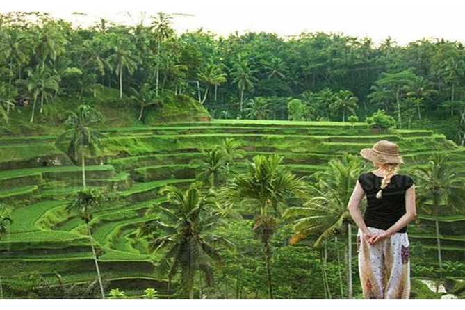 Private Tour: Campuhan Ridge Walk, Ubud Rice Terrace & Ubud Palace - Timing, walking, and what to bring