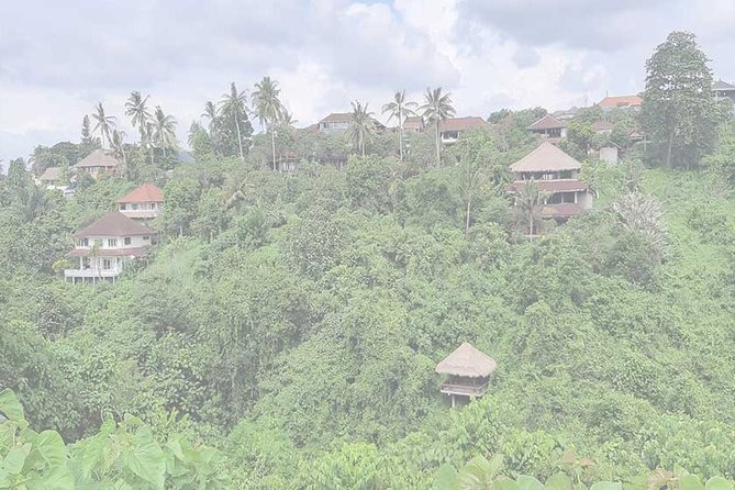 Private Tour: Campuhan Ridge Walk, Ubud Rice Terrace & Ubud Palace - See farming from above at Ceking Rice Terrace