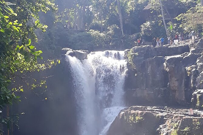 Private tour in Ubud country side - Why this private Ubud day works