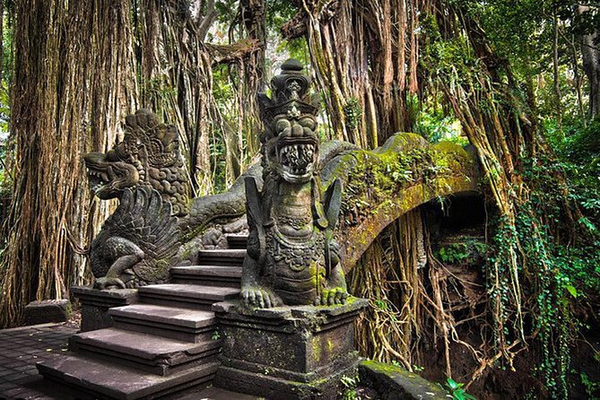 Private tour in Ubud country side - Happy Swing Bali and the optional flight over the fields