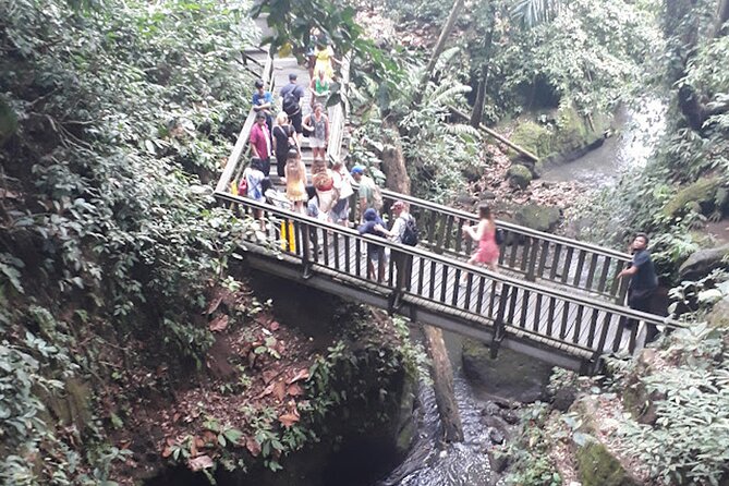 Private tour in Ubud country side - Lunch at Tebasari Resto