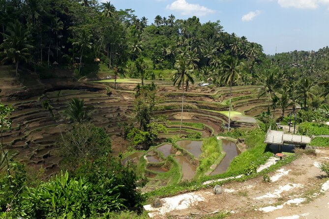 Private tour in Ubud country side - Leaving Kuta for central Bali