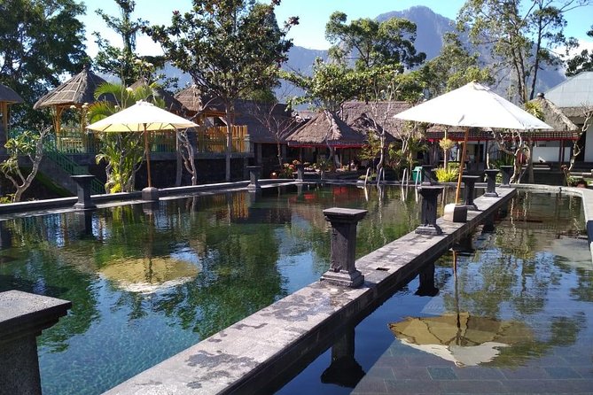 Private Tour Mount Batur Sunrise Trekking and Natural Hot Spring - The private car ride back to your hotel