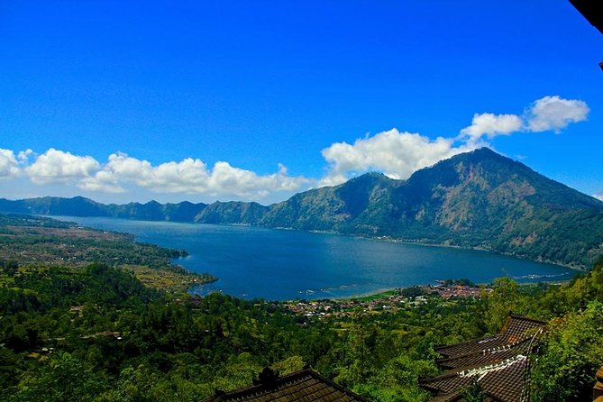 Private Tour : Mt. Batur View, Rice Terrace, Waterfall & More. - Tegalalang Rice Terrace in 45 minutes
