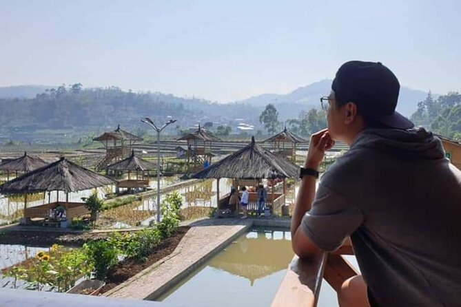 Private Tour to Bandung Volcano Hot Springs and Mud bathing - Patenggang Lake and a slower lunch stop