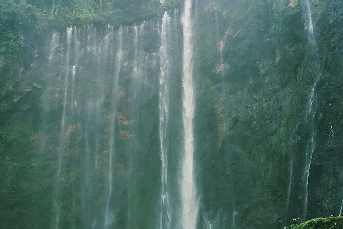 Private Tour Tumpaksewu - Bromo - Ijen 4D3N From Surabaya - Day 1: Surabaya to Malang for a needed rest