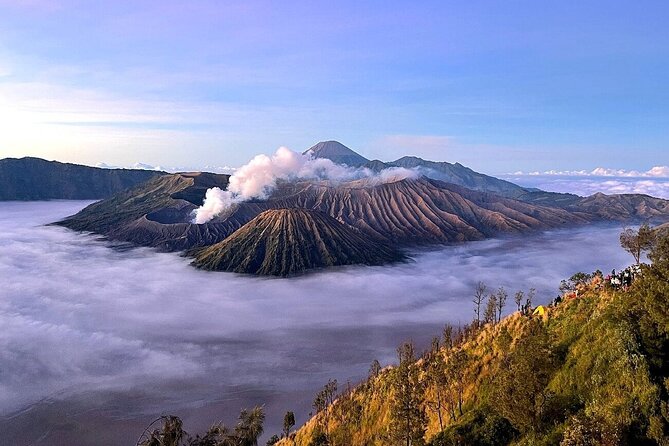 Private Tour Tumpaksewu - Bromo - Ijen 4D3N From Surabaya - Day 3 afternoon: Bondowoso as a practical overnight stop