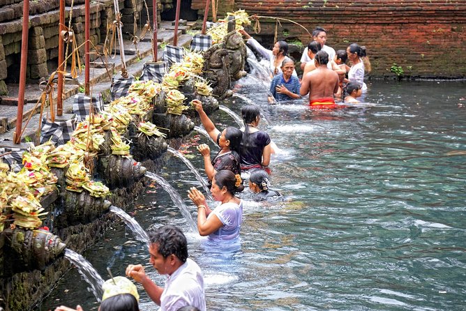 Private Tour: Ubud Highlights - Walking the Tegalalang rice terraces