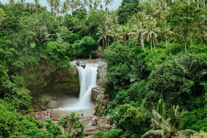 Private Ubud Day Tour Waterfalls Sacred Monkeys and Rice Fields - Tegenungan Waterfall and the choice between views or water