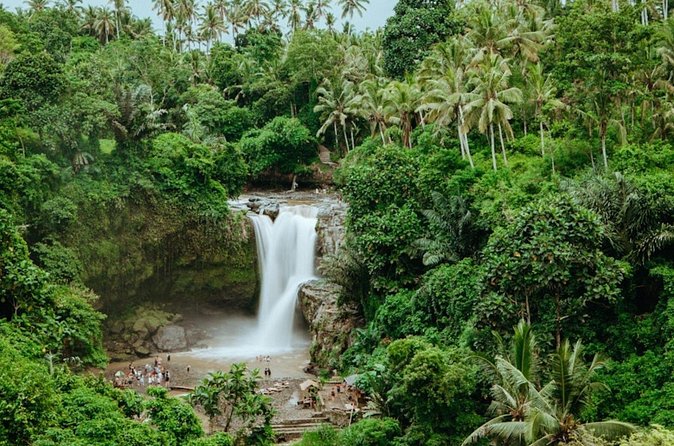 Private Ubud Day Tour Waterfalls Sacred Monkeys and Rice Fields - Sacred Monkey Forest: wildlife inside a spiritual setting