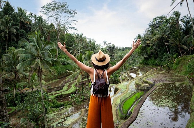 Private Ubud Day Tour Waterfalls Sacred Monkeys and Rice Fields - Timing, transport, and what the $27 includes