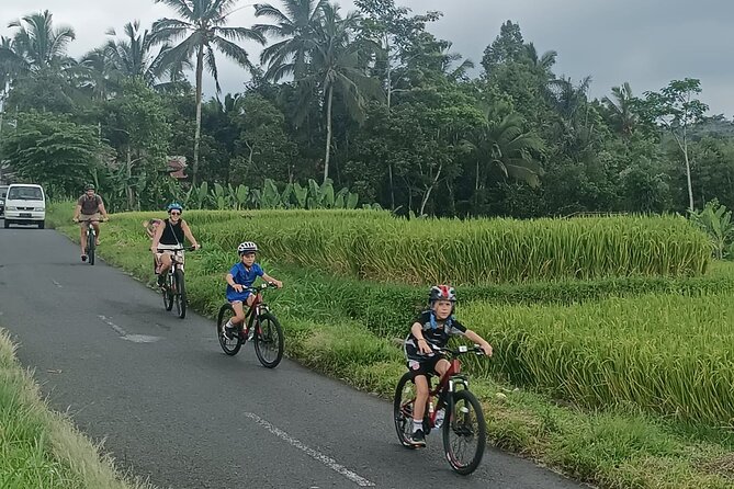 Private Ubud Downhill Cycling with Volcano, Rice Paddies & Meal - A short plantation stop adds local flavor