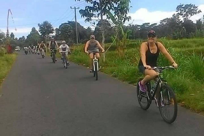 Private Ubud Downhill Cycling with Volcano, Rice Paddies & Meal - Two hours through villages, paddies, and plantations