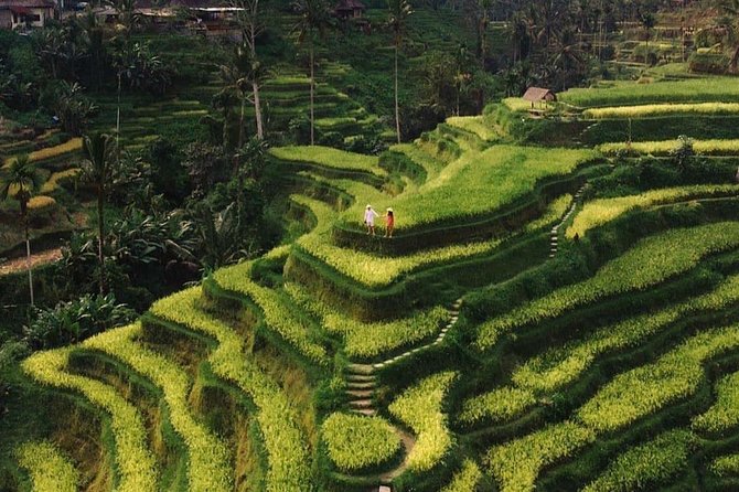 Private UBUD Tour - Key points at a glance