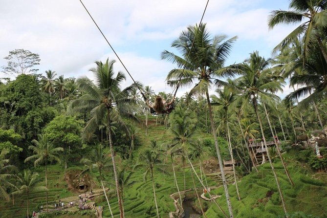 Private Ubud Tour Package - What this private Ubud day trip is really designed to do