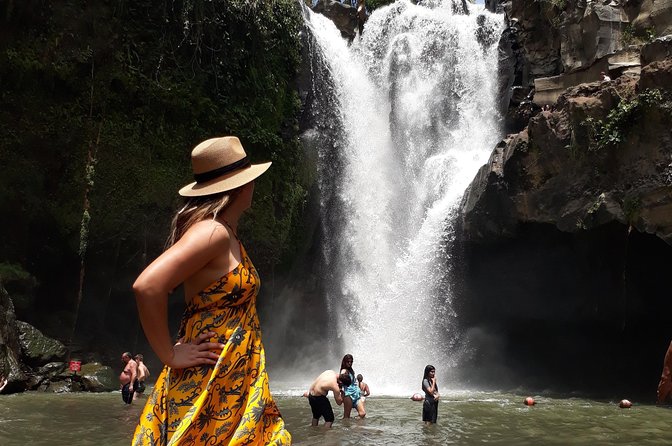 Private Ubud Tour Package - Tegalalang Rice Terrace and the swing experience