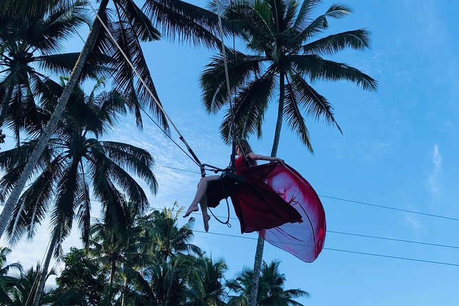 Private Ubud Tour with Hidden Waterfalls - Tegalalang Rice Terrace in a short 30-minute visit
