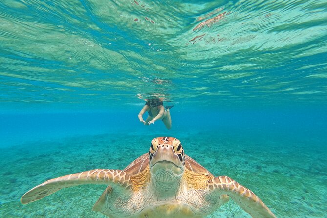 Public Snorkeling 3 Islands - Key points to know before booking