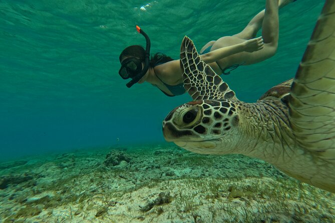 Public Snorkeling 3 Islands - Four marine stops from Gili Trawangan