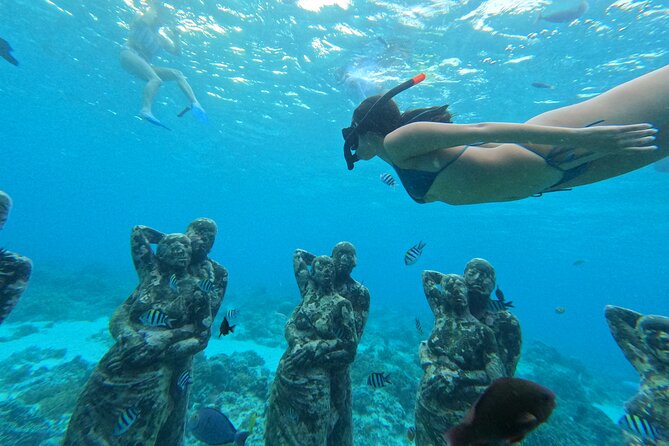 Public Snorkeling 3 Islands - Turtle Point and the best chance for a memorable sighting