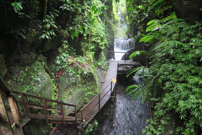 Quad or Buggy Tour with Canyon Tubing Adventure in Bali - Riding through villages, plantations, and rainforest