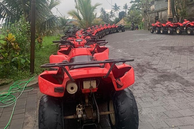Quadbike Adventure with Tunnel and Waterfall Tour in Bali - Who Should Book This Ubud ATV Tour?