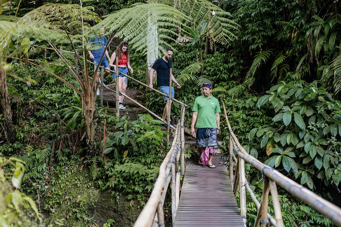 Quick Access: The Bali Instagram Small Group Tour - Tegalalang adds the classic rice-terrace view