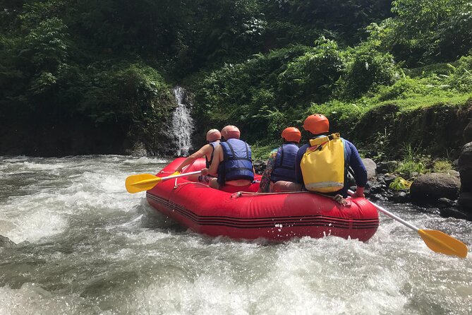 Rafting Adventure 18 km and Balinese Village Life Tour with Lunch - From wet clothes to a Balinese family table