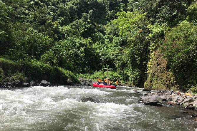 Rafting Adventure 18 km and Balinese Village Life Tour with Lunch - Is $73.02 a fair price?