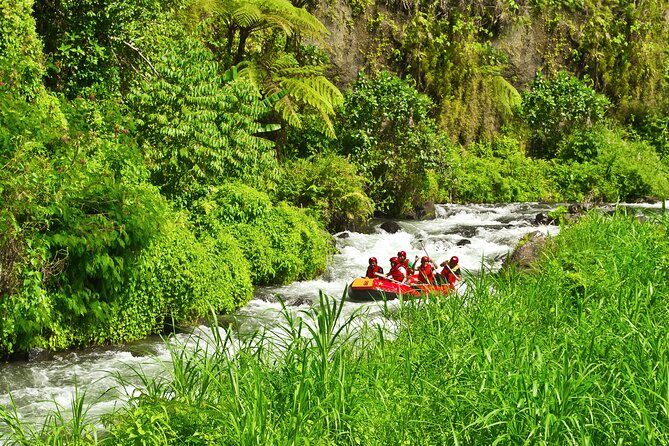 Rafting Adventure 18 km and Balinese Village Life Tour with Lunch - Who should book this private adventure?