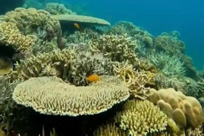 Rangko Cave & Beach Snorkeling Half Day Sharing Trip Labuan Bajo - The boat ride and road transfer