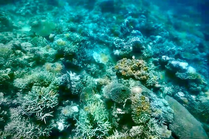 Rangko Cave & Beach Snorkeling Half Day Sharing Trip Labuan Bajo - Who should book this half-day trip