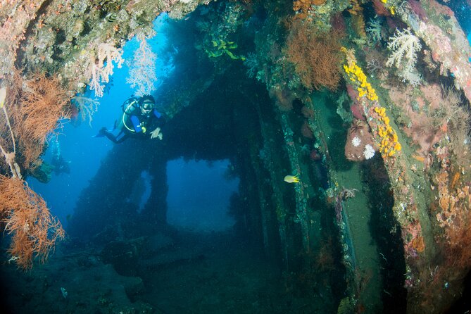 Sanur Open Water Course learn diving in 3 Days - Get certified & Dive everywhere - What $480 includes, and where the value lies