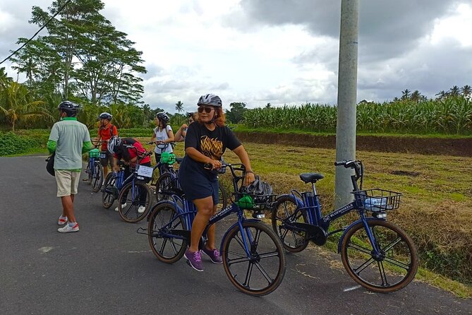Sanur Village E-bike Tour: Family-Friendly Adventure - Why this Sanur ride feels different