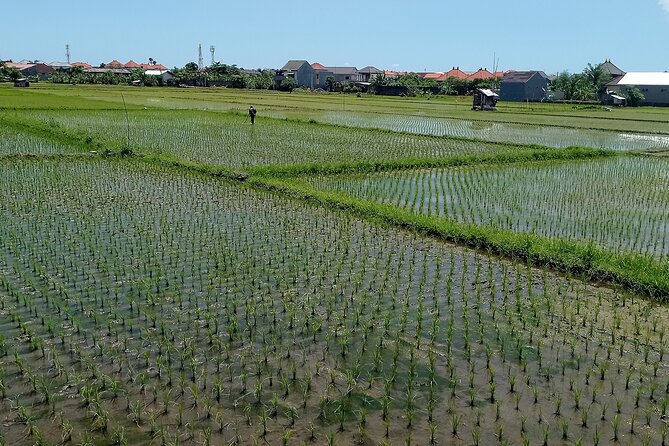 Sanur Village E-bike Tour: Family-Friendly Adventure - How difficult is the cycling?