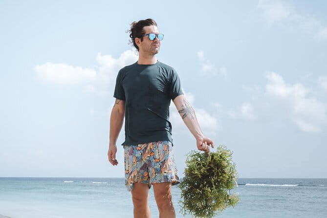 Seaweed Farming Activity and Sightseeing at Diamond Beach - Key points to know before booking
