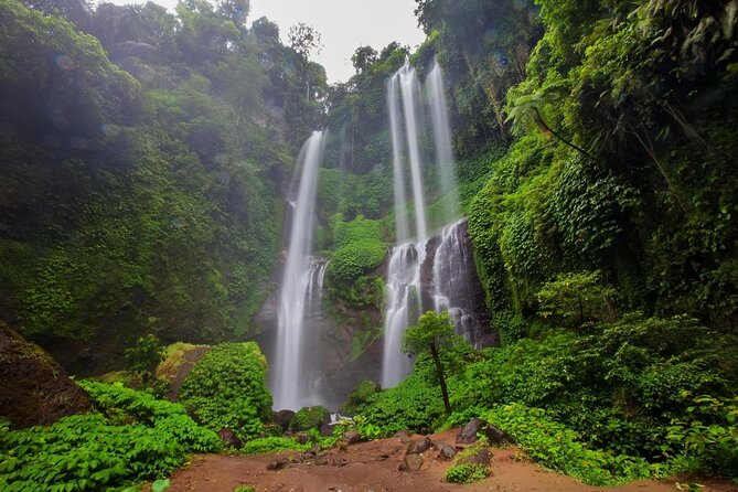 Sekumpul waterfall & aling2 waterfall with private service (including activity) - Key points to know before booking