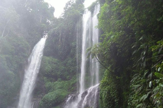 Sekumpul waterfall & aling2 waterfall with private service (including activity) - Why combine Aling-Aling with Sekumpul?