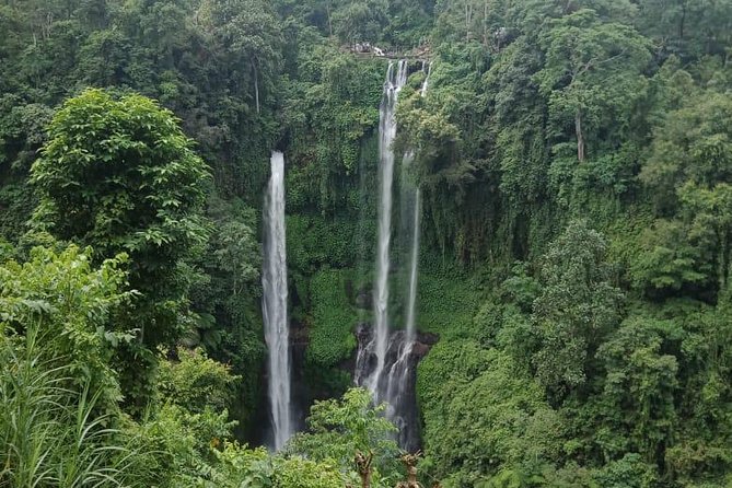Sekumpul waterfall & aling2 waterfall with private service (including activity) - Is $75 good value?