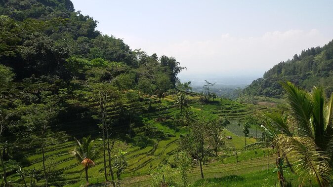 Selogriyo Temple and Trekking Java Rice Terraces, hidden waterfall -Nature Java - Key points to know before booking