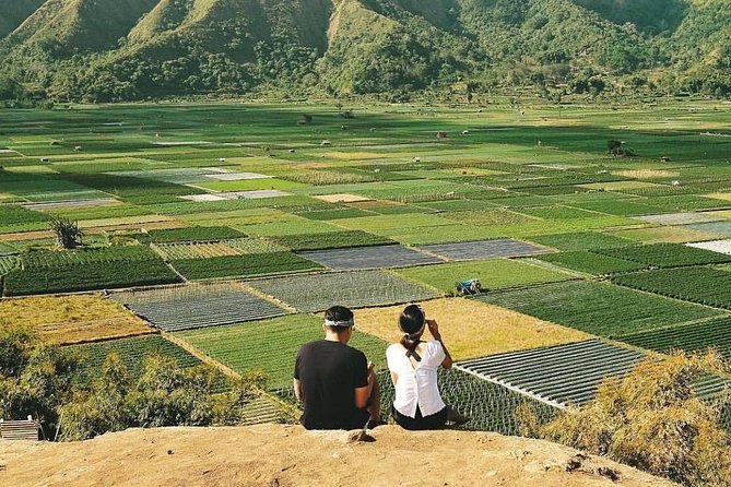 Sembalun Package.. (Special Rice Terrace View) - Key points at a glance