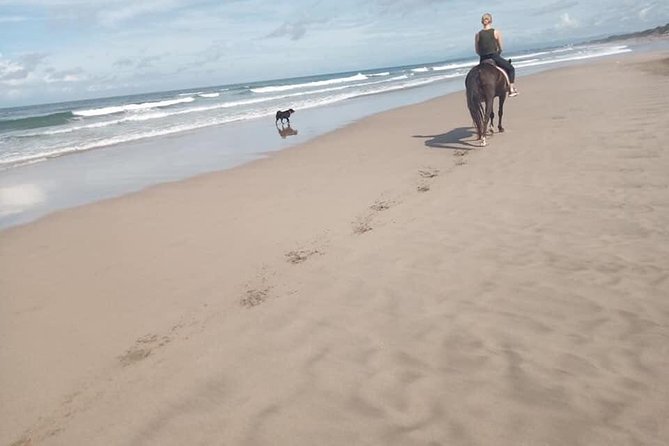 Seminyak Beach Bali Horse Riding - Helmets, guide service, and small points of uncertainty