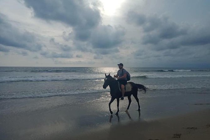 Seminyak Beach Bali Horse Riding - Who will enjoy this beach ride most