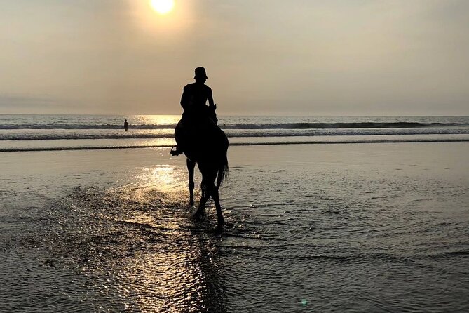 Seminyak Horse back riding In the beach - A Private Ride, With a Small-Group Feel