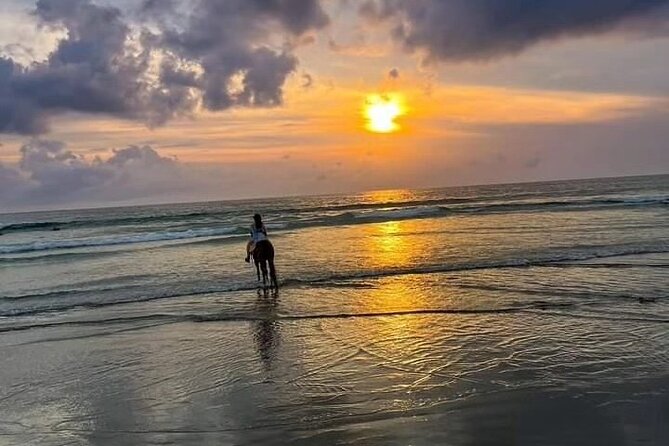 Seminyak Horse back riding In the beach - What the Horses Mean for Your Ride