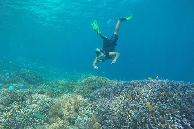 Sharing Snorkeling Trip Gili islands Depart Lombok/Gili Trawangan - First stop: coral and fish around Gili Meno