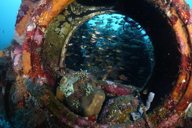 Shipwreck Diving in Tulamben - Key points about the Tulamben wreck trip