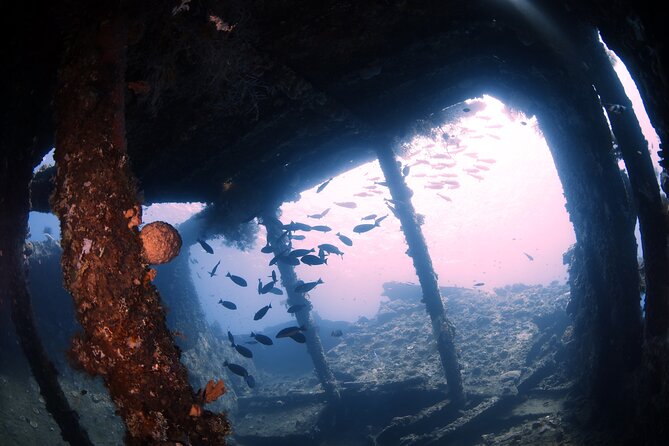 Shipwreck Diving in Tulamben - Why the USAT Liberty is worth the long ride