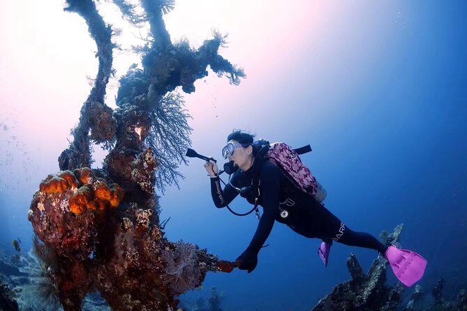 Shipwreck Diving in Tulamben - Who will enjoy this most